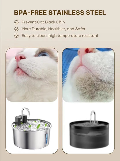 KIPPA WATER FOUNTAIN
